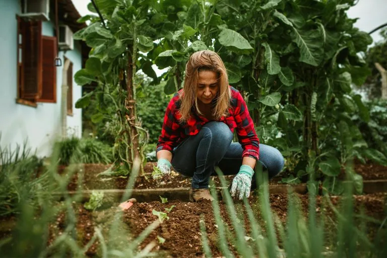 A smiling -woman working-in the garden- of her small- home.