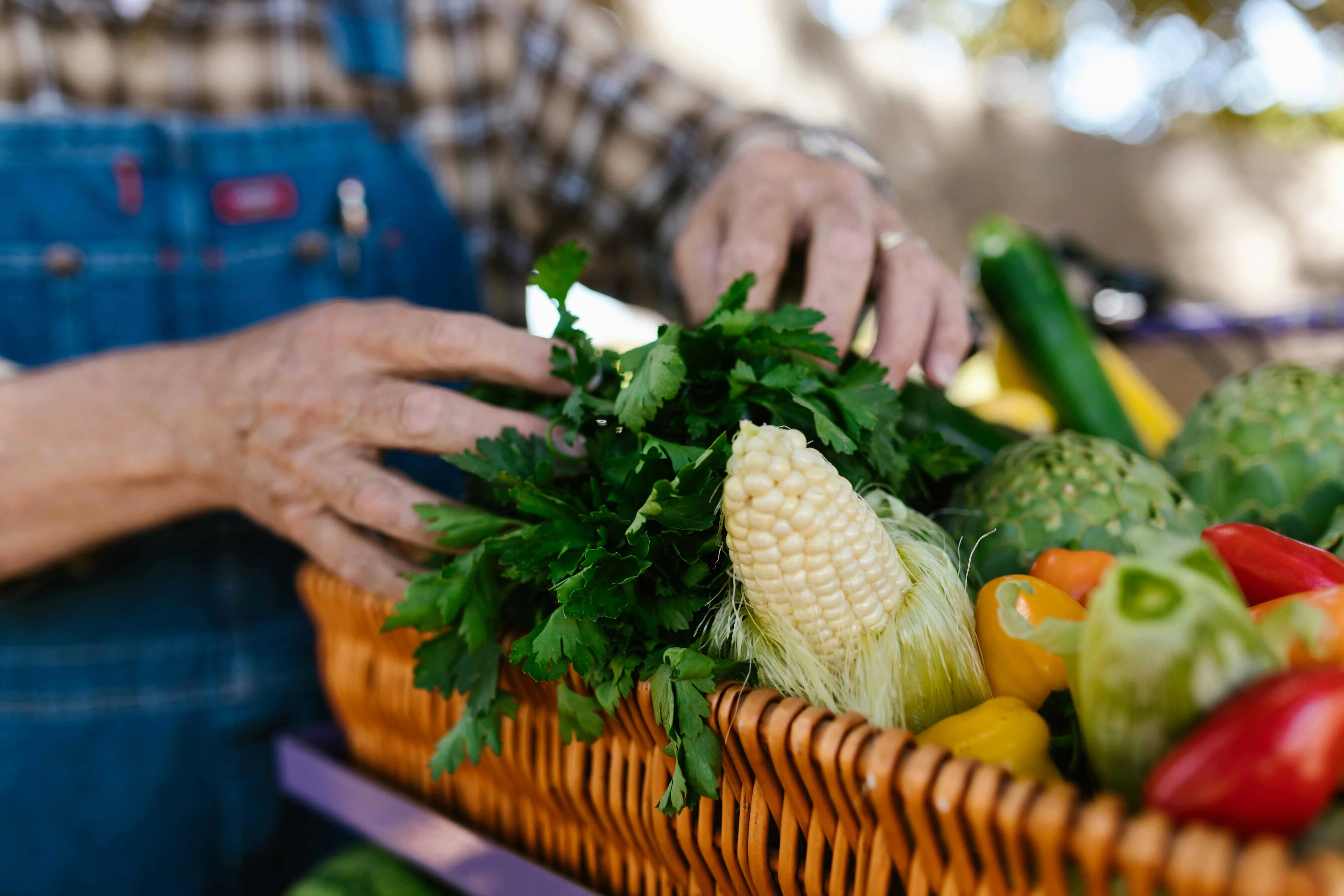 vegetables