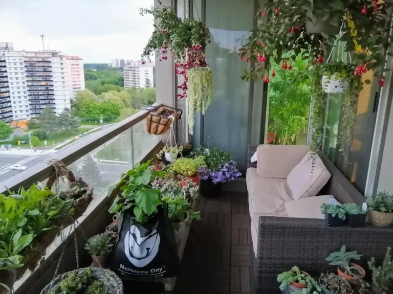 10 Beautiful & Productive Balcony Garden Ideas for Small Spaces