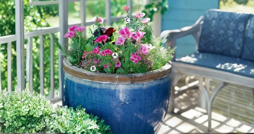 15 Beautiful Geranium Planter Ideas to Brighten Your Patio